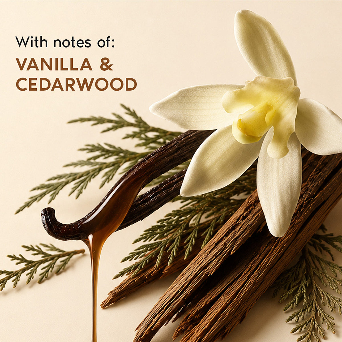 Swiss Vanilla Luxury Perfume Bestseller Gift Set