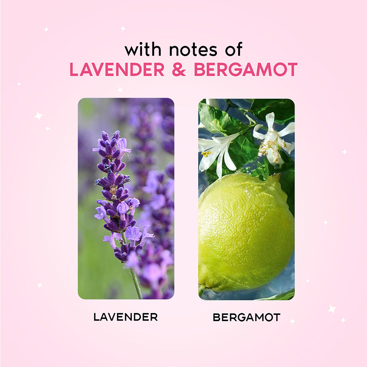 French Lavender Luxury Bath & Body Gift Set