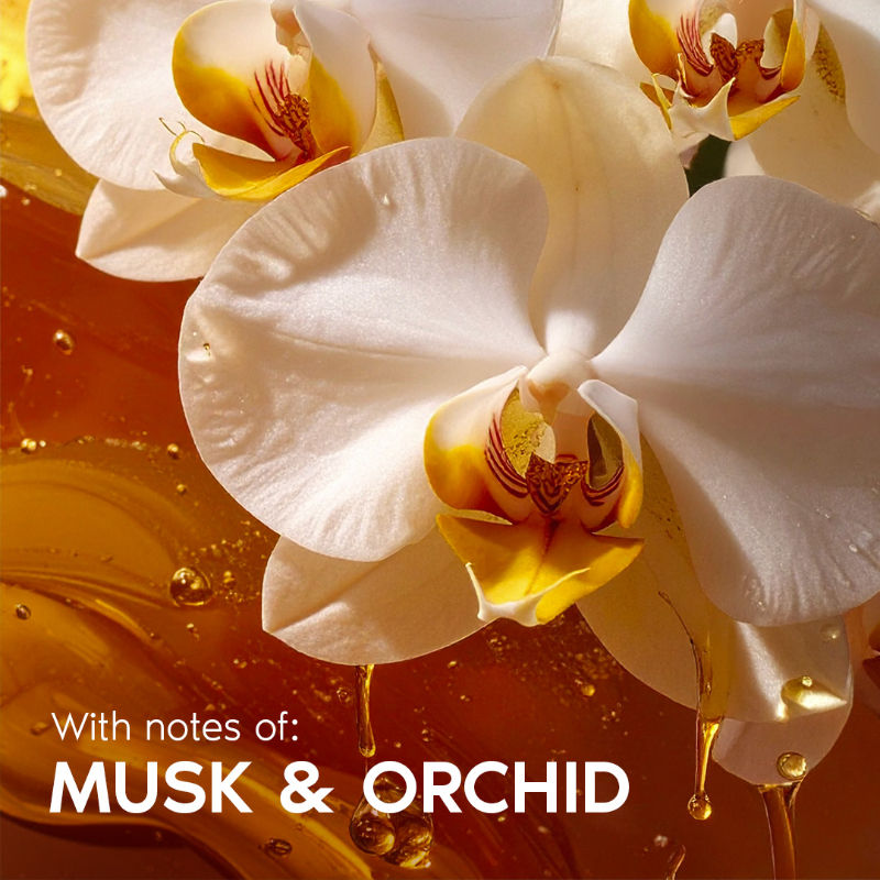 Midnight In New York Moisturizing Body Serum Lotion